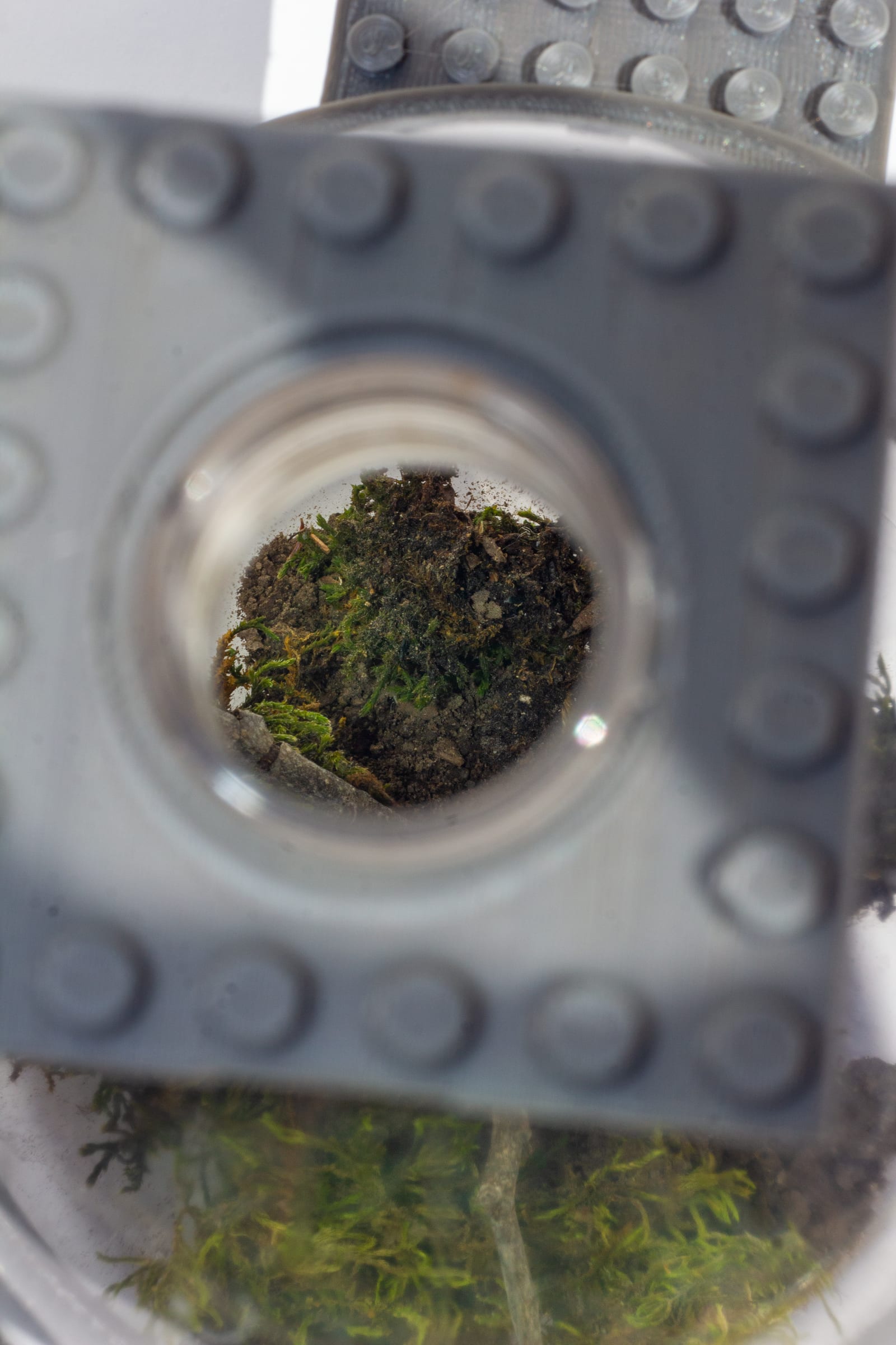 Through the ring, into the substrate